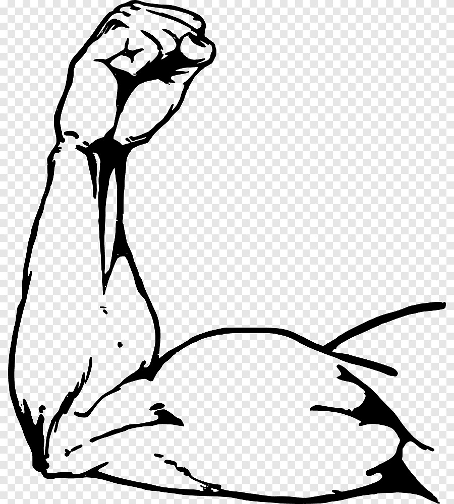 Protein Muscle Arm